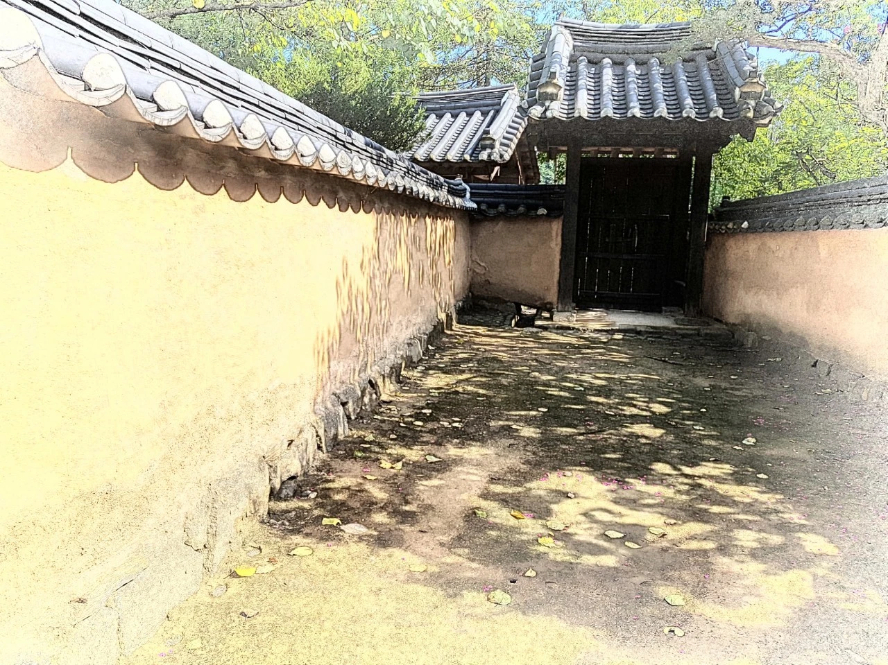 e_gh9Ud018svc1es3d1viiv8in_bnmutt.jpg?type=e1920_std