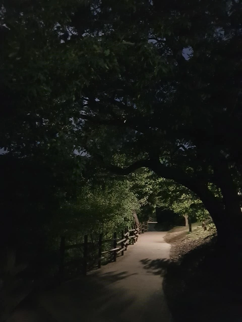 h_2i6Ud018svcmzqehf0coo05_bnmutt.jpg?type=e1920_std