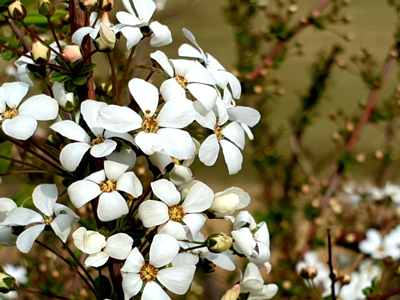 j_fadUd018svc1s5rti73hm4sc_e9765c.jpg?type=e1920_std