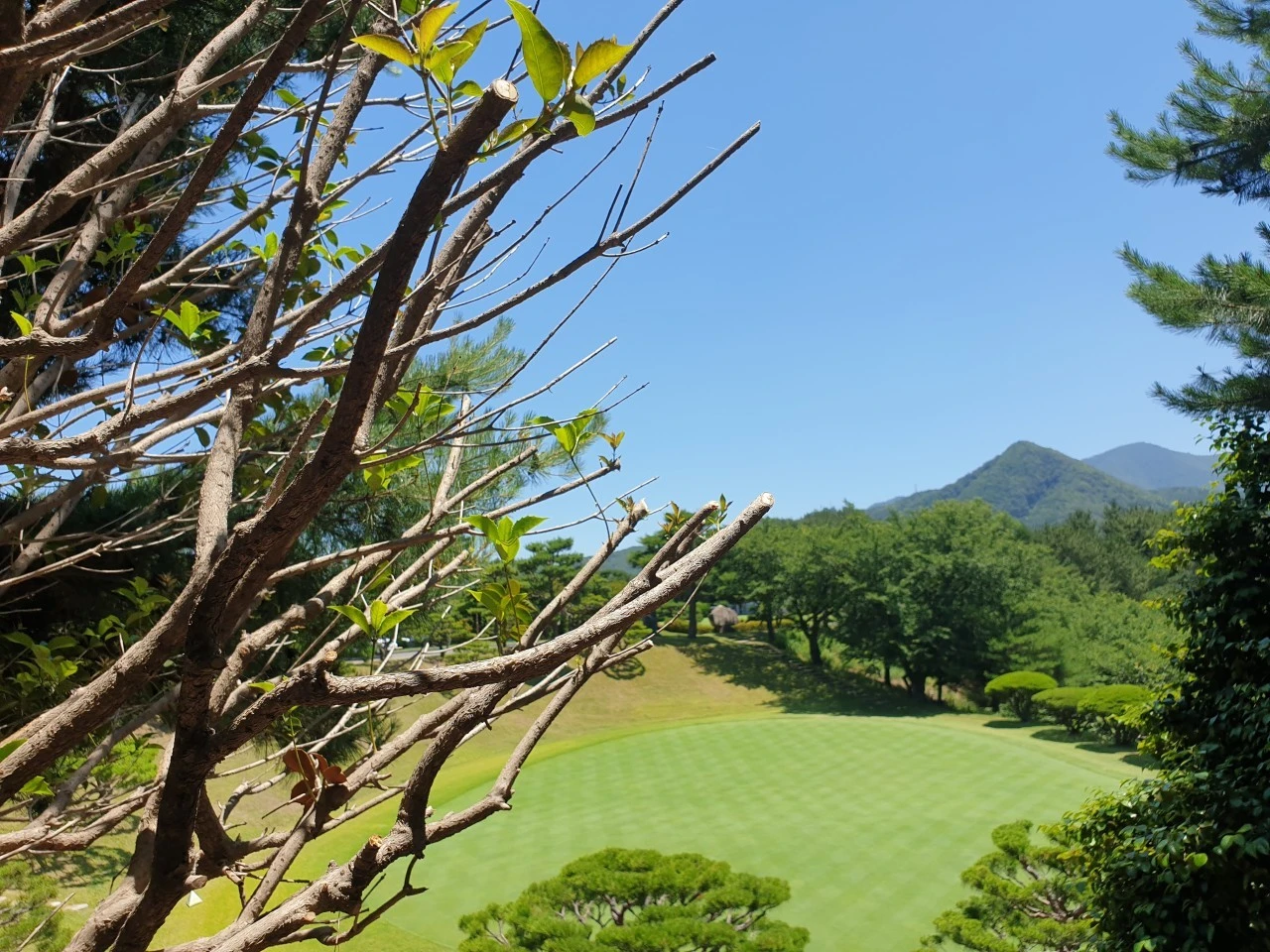 6_33aUd018svc15pnbxy35bnpf_e9765c.jpg?type=e1920_std