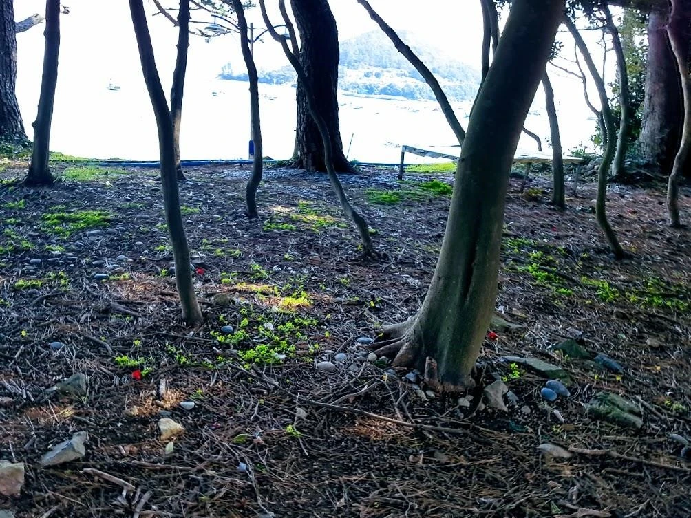 7_692Ud018svcnccsc5h3pibw_8e3or6.jpg?type=e1920_std