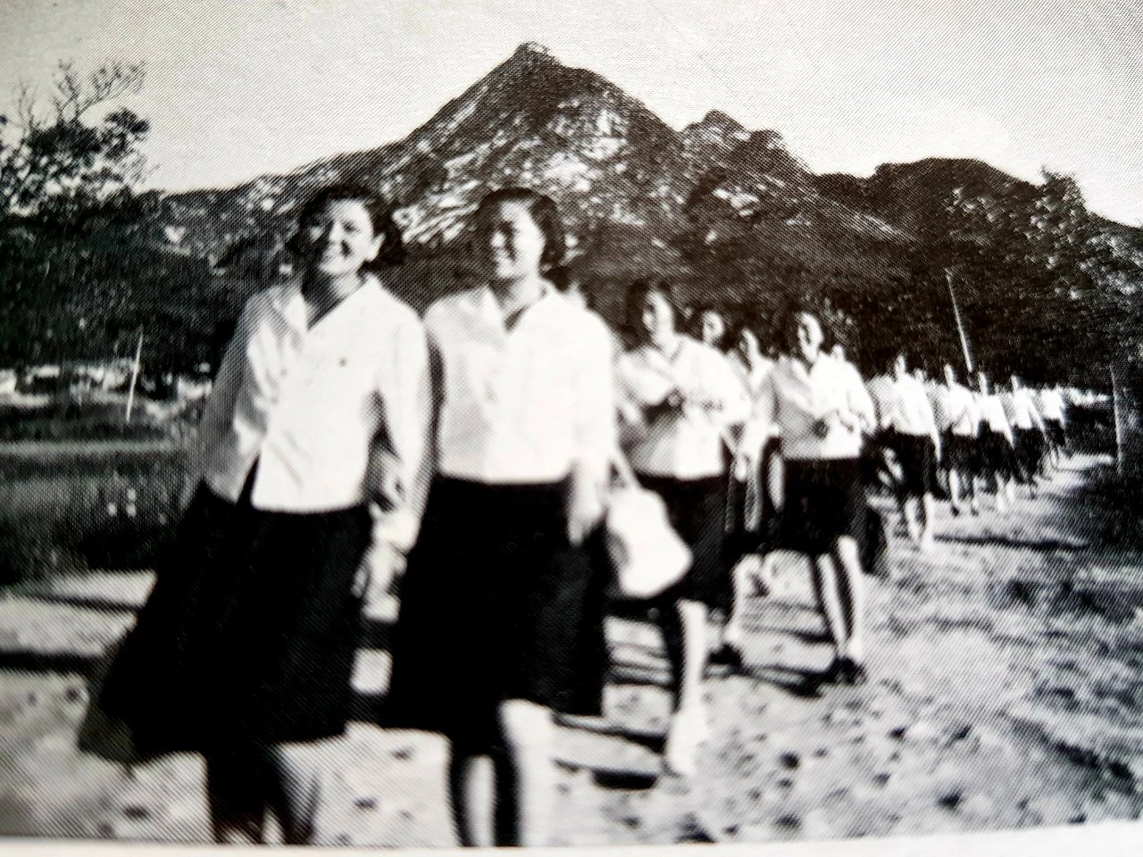 j_jjgUd018svcjpyhuvfk3piy_bnmutt.jpg?type=e1920_std