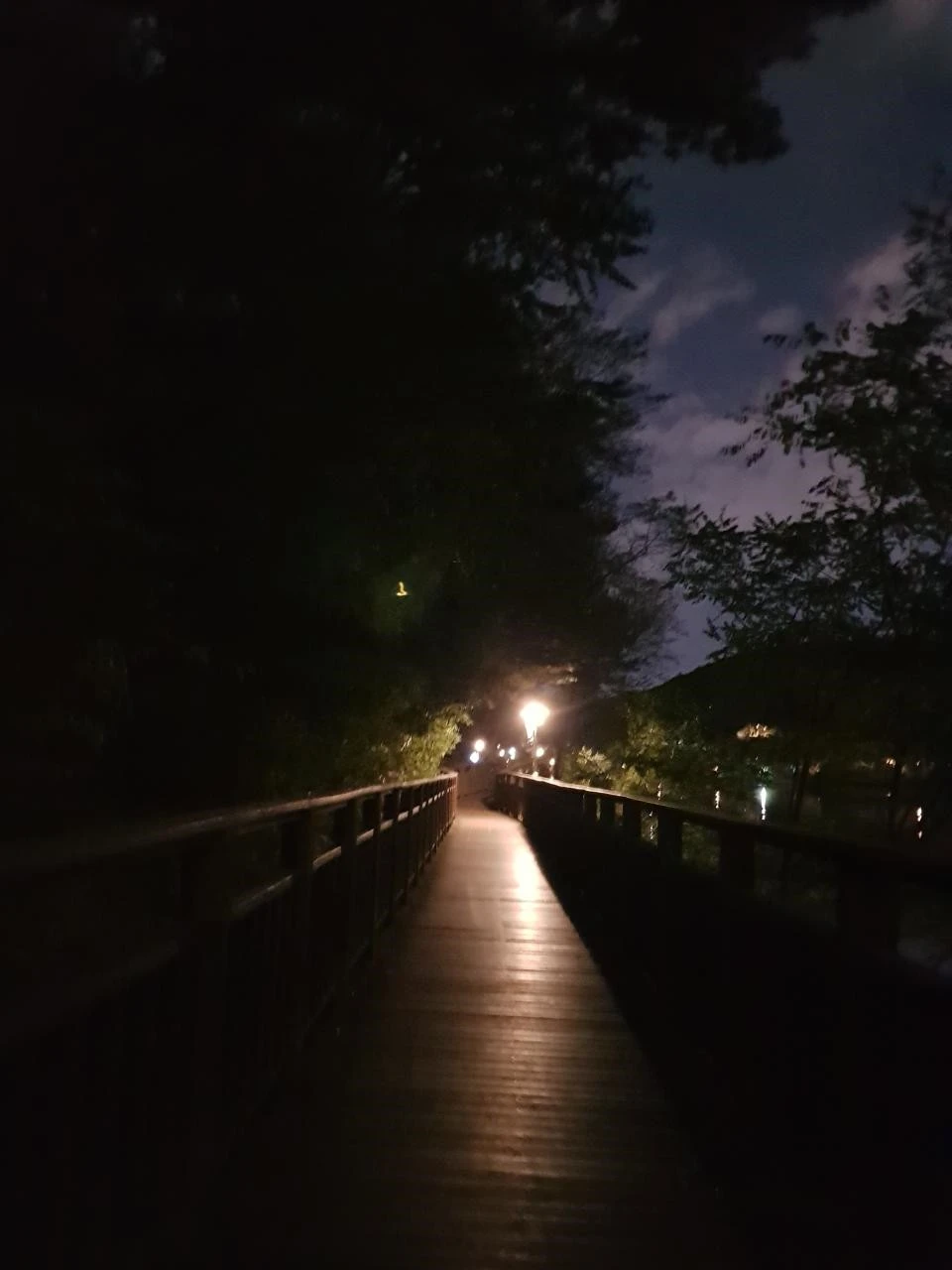 h_3i6Ud018svc14nqarrzegax5_bnmutt.jpg?type=e1920_std