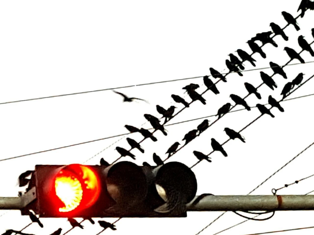 0h7Ud015pkxddm2j0k26_1thim6.jpg?type=e1920_std