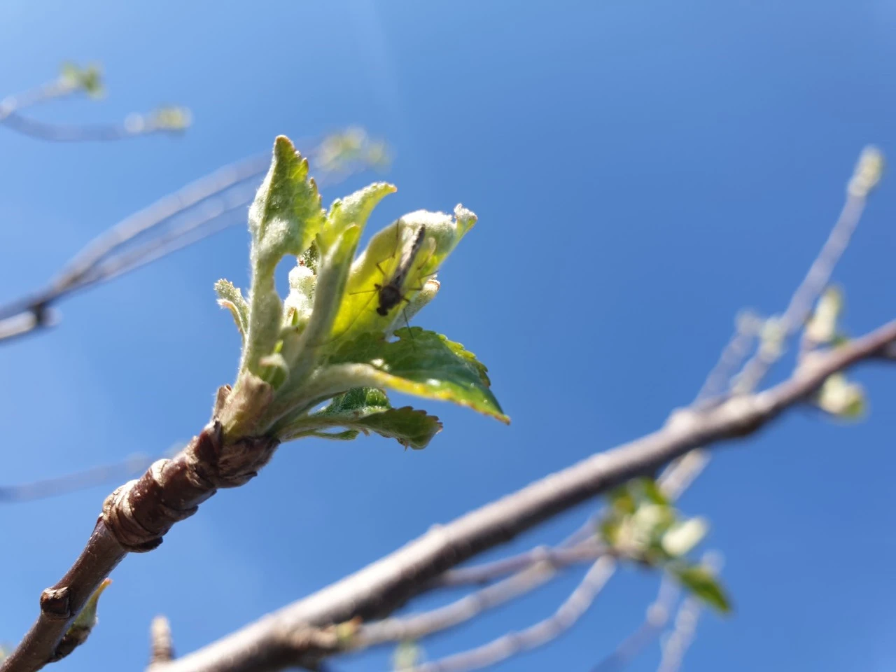 a_fjaUd018svcc89oy5hujwpb_e9765c.jpg?type=e1920_std