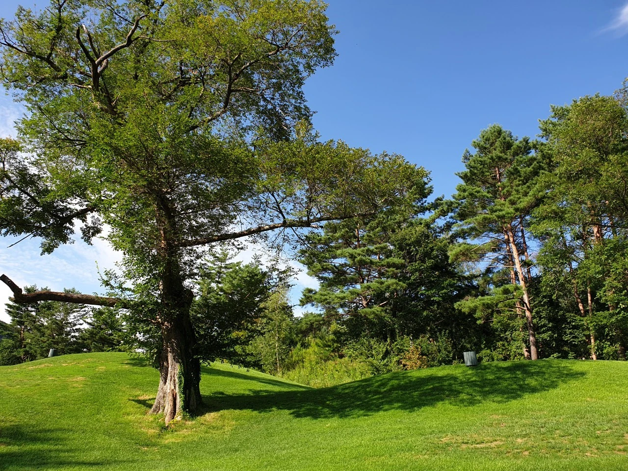 4_19fUd018svc18mjom20q1tws_e9765c.jpg?type=e1920_std