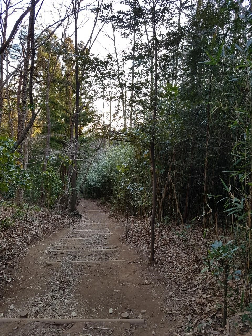 bhcUd016svc1ruuycysu0j1l_lqrpm8.jpg?type=e1920_std