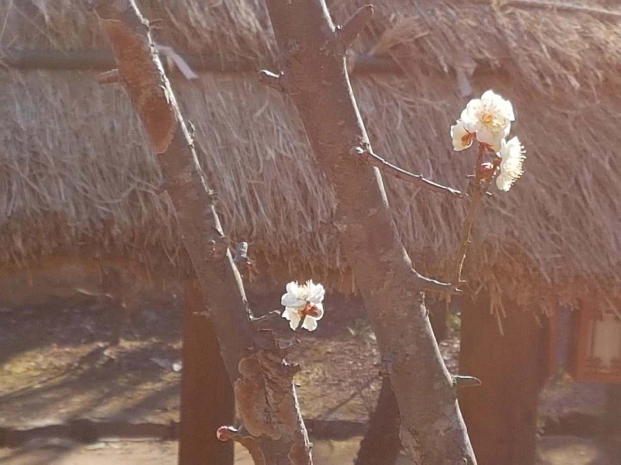 97iUd016svc1gdf2lra4n2bw_trrirt.jpg?type=e1920_std