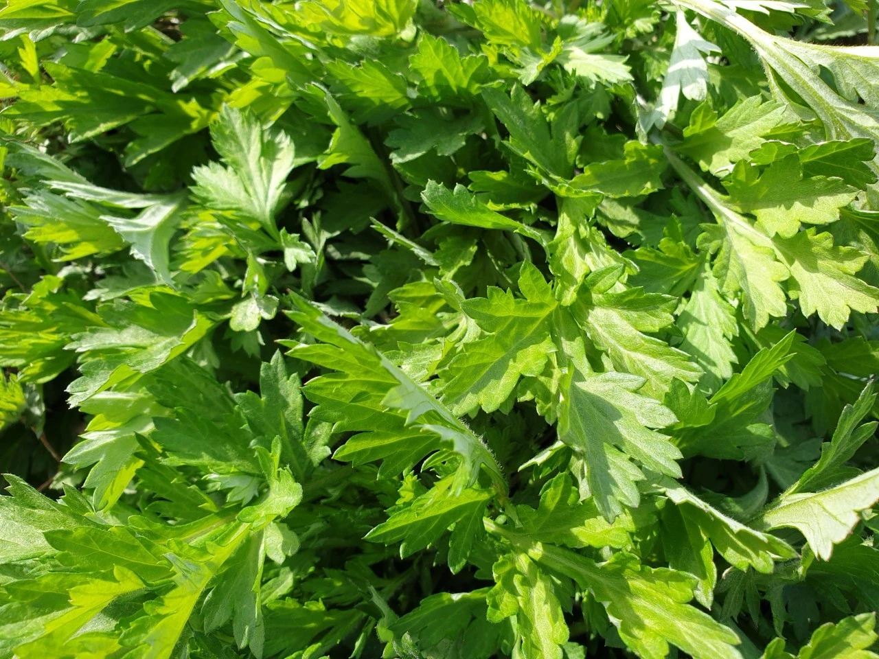 7_bjaUd018svc1h84x77owki1q_e9765c.jpg?type=e1920_std