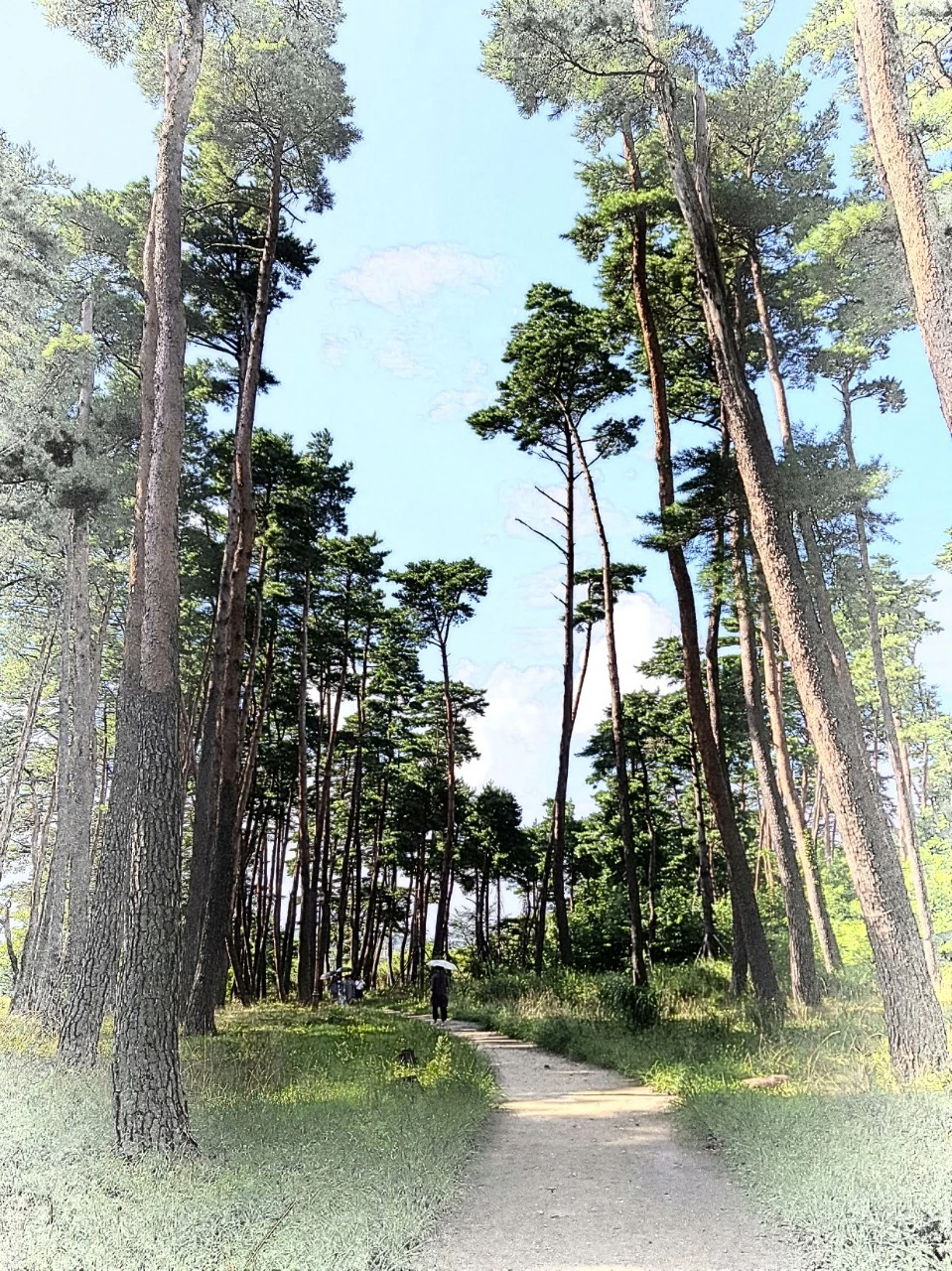 3_53iUd018svc19rn7ts0odibn_bnmutt.jpg?type=e1920_std