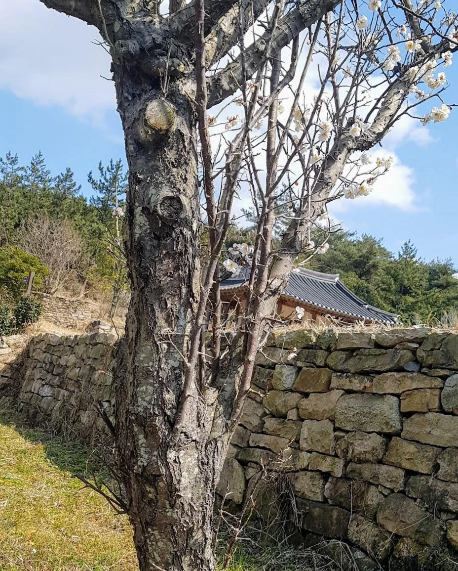 a11Ud017svcpacna03gfqs2_9fx0f4.jpg?type=e1920_std