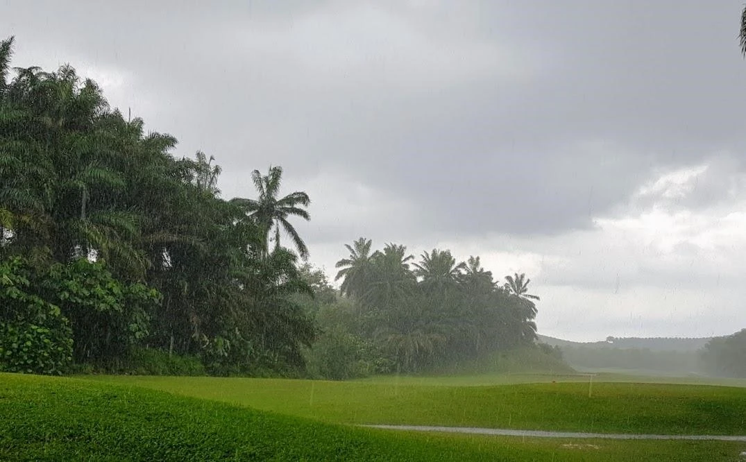 i_14jUd018svc1nd7er84qmm68_p3cztn.jpg?type=e1920_std