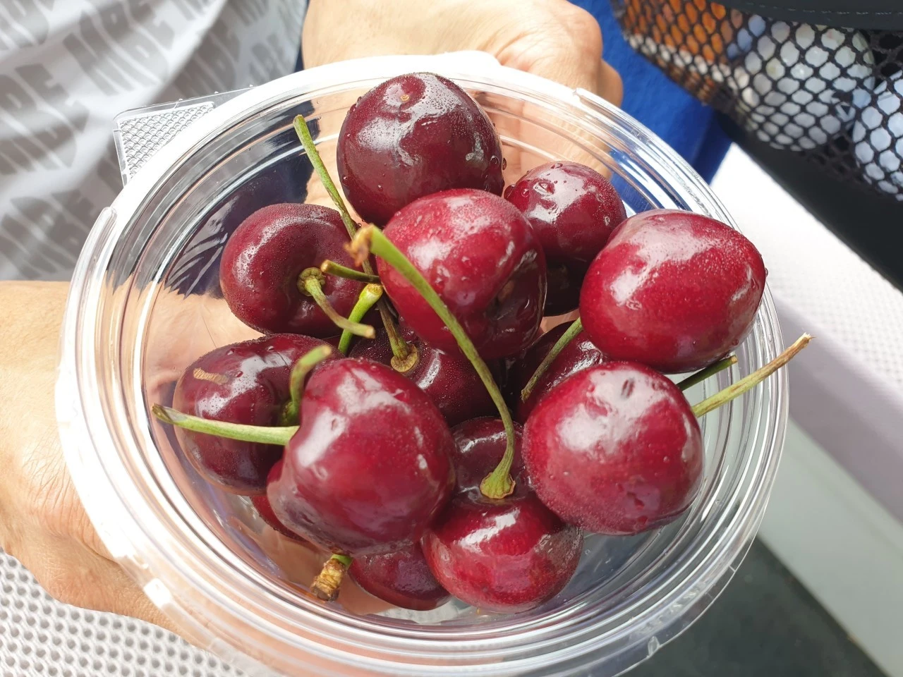 8_gj2Ud018svc81ni4jx1zm36_e9765c.jpg?type=e1920_std