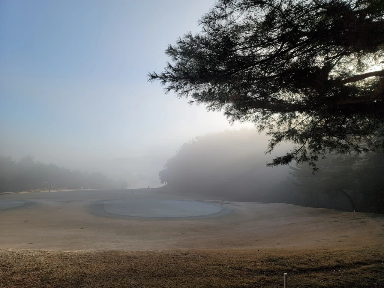 4_a7aUd018svc96m3iqmbtowv_e9765c.jpg?type=e1920_std