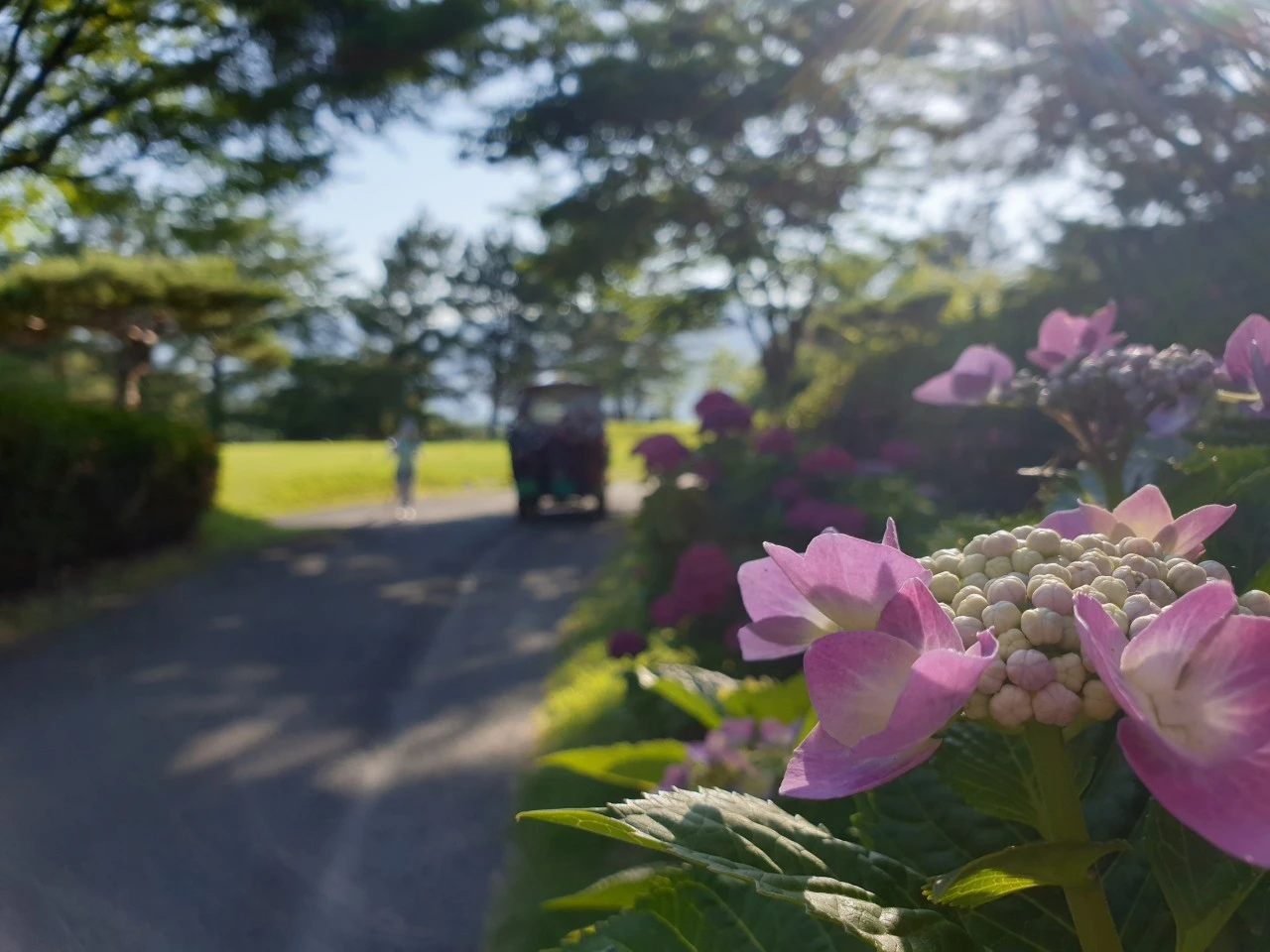 b_j8dUd018svcftyi59741a40_e9765c.jpg?type=e1920_std