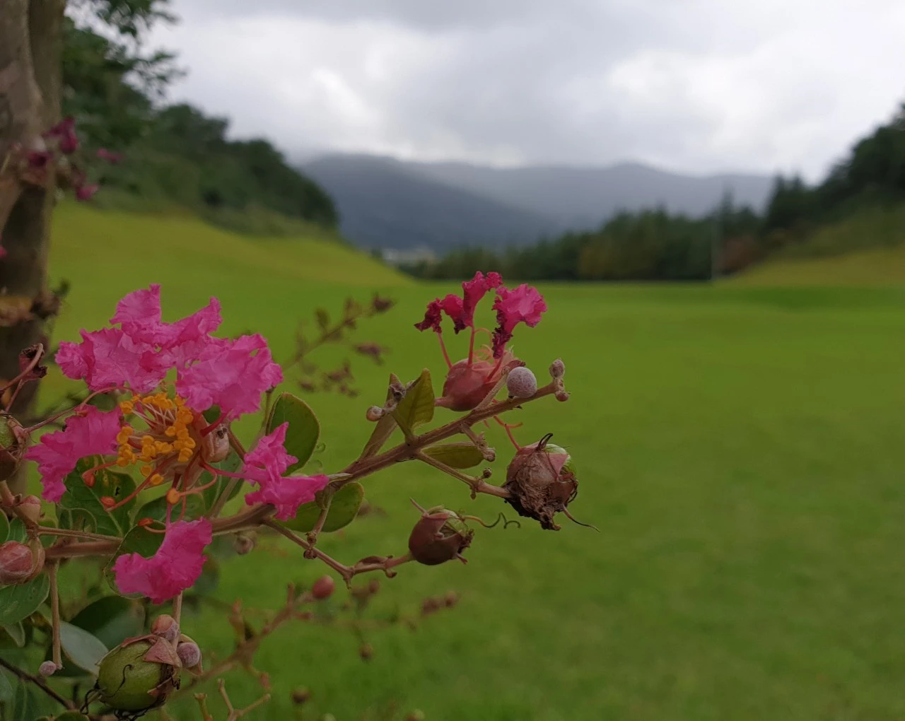 h_21cUd018svcpcn6z0xb8af2_e9765c.jpg?type=e1920_std