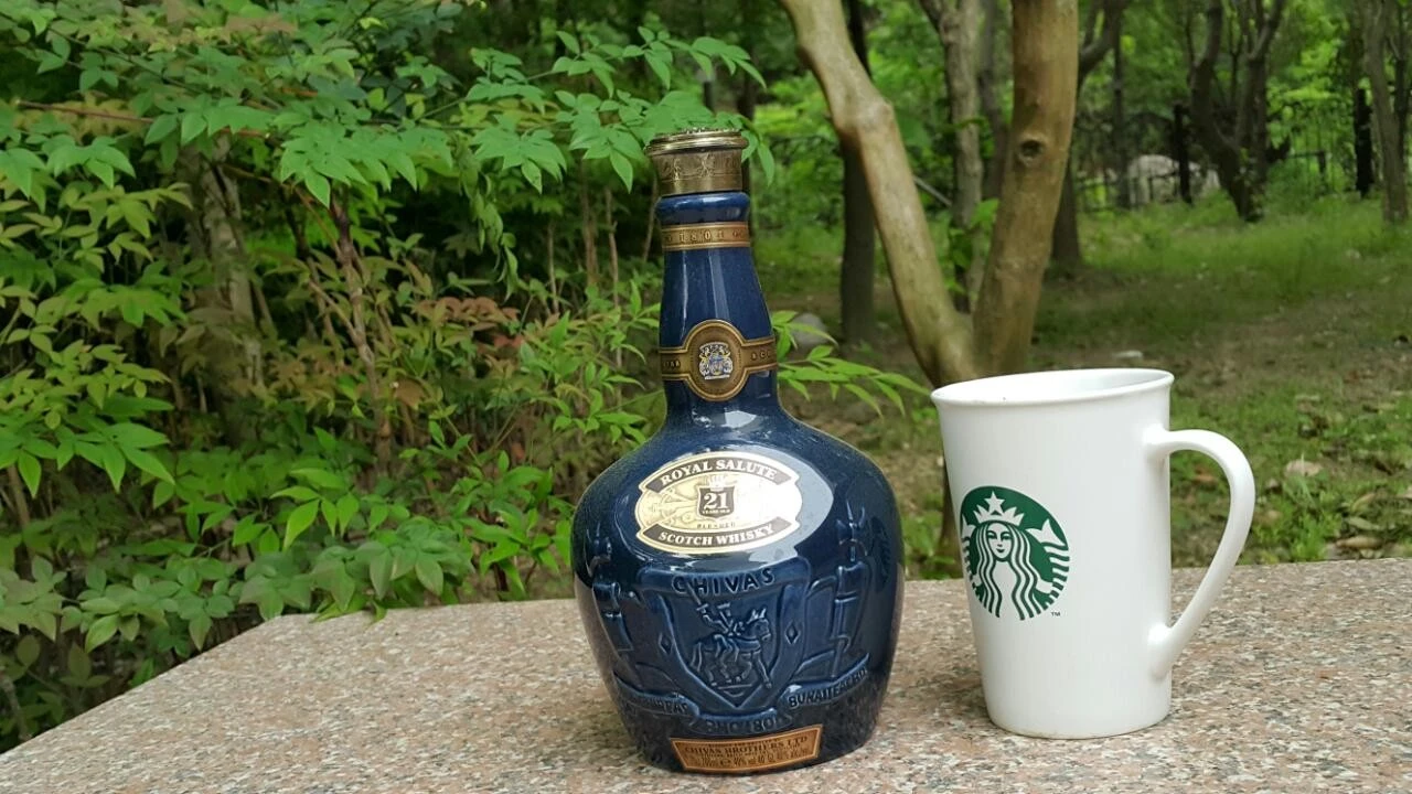 d51Ud015x56jl7pmxz82_bnmutt.jpg?type=e1920_std