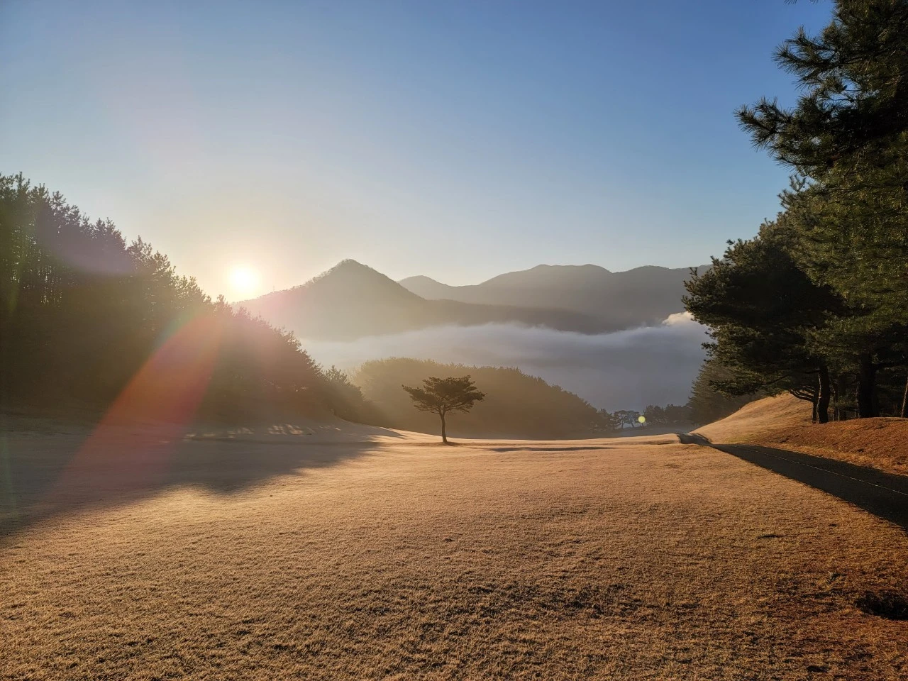 3_dh8Ud018svc8nm8wnmczffd_e9765c.jpg?type=e1920_std