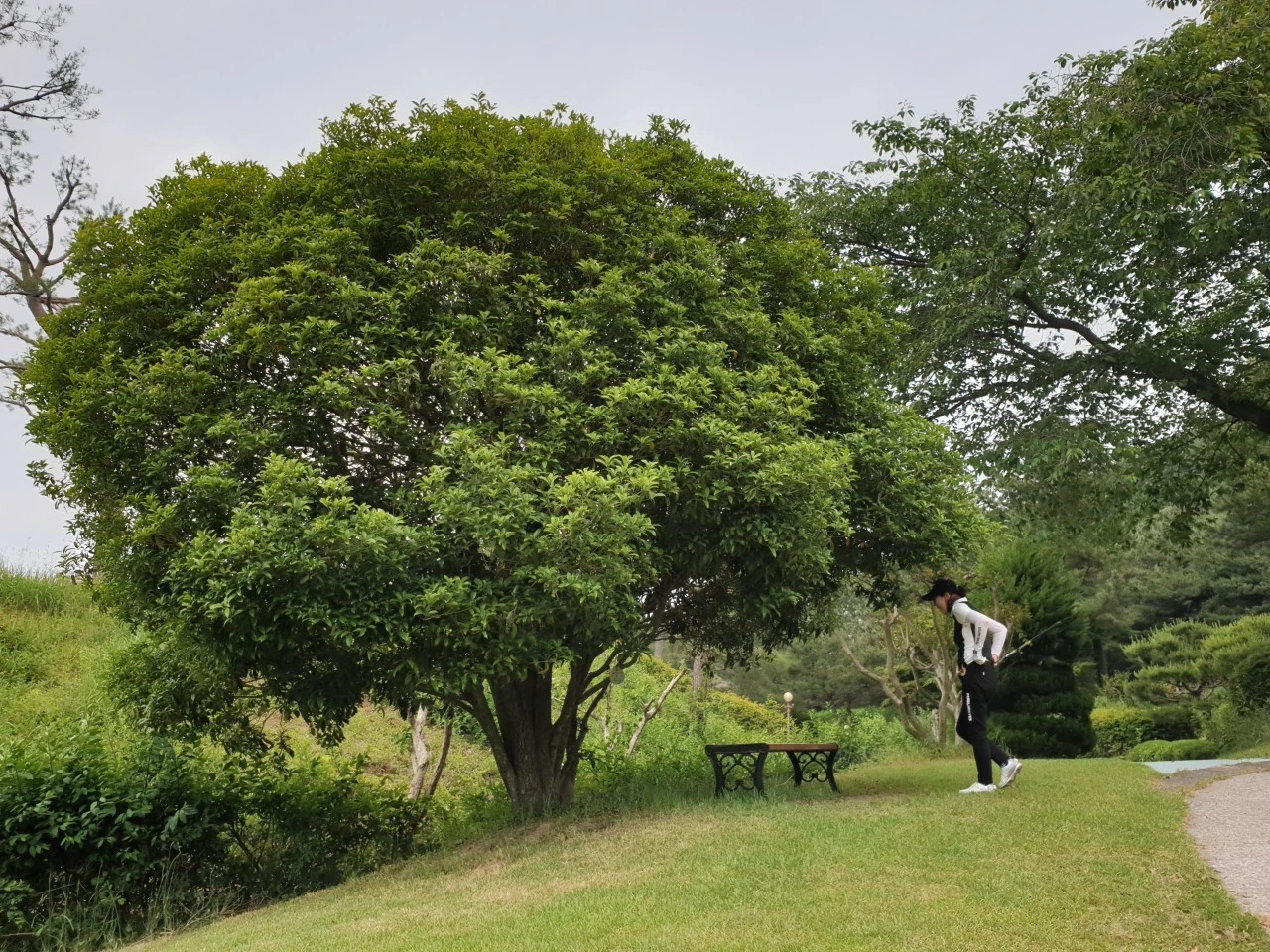 1_2deUd018svc16rbuodwgpqkd_e9765c.jpg?type=e1920_std