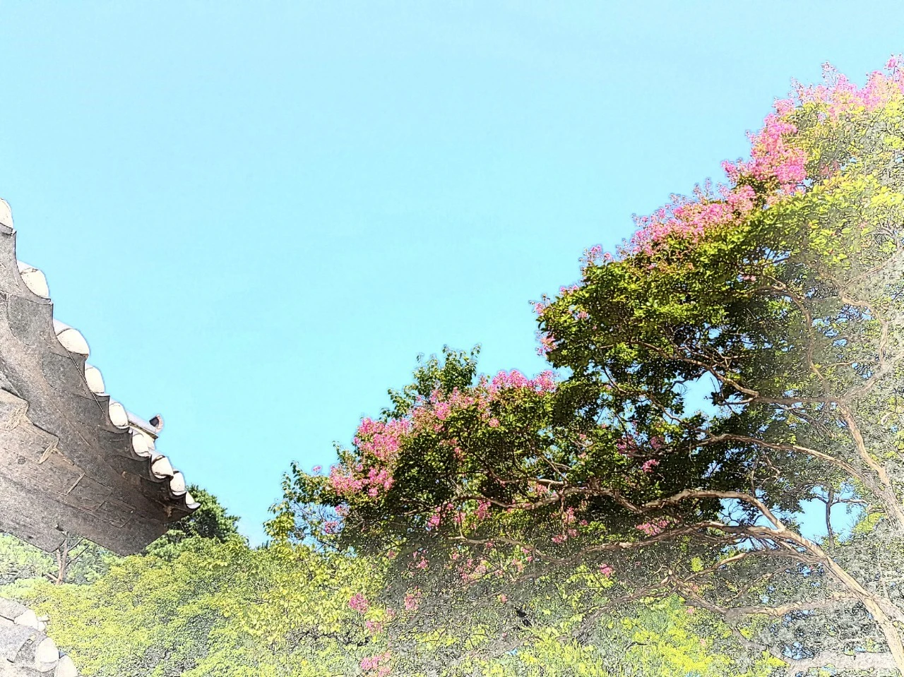 e_jh9Ud018svc1dlhv3buo3k2c_bnmutt.jpg?type=e1920_std