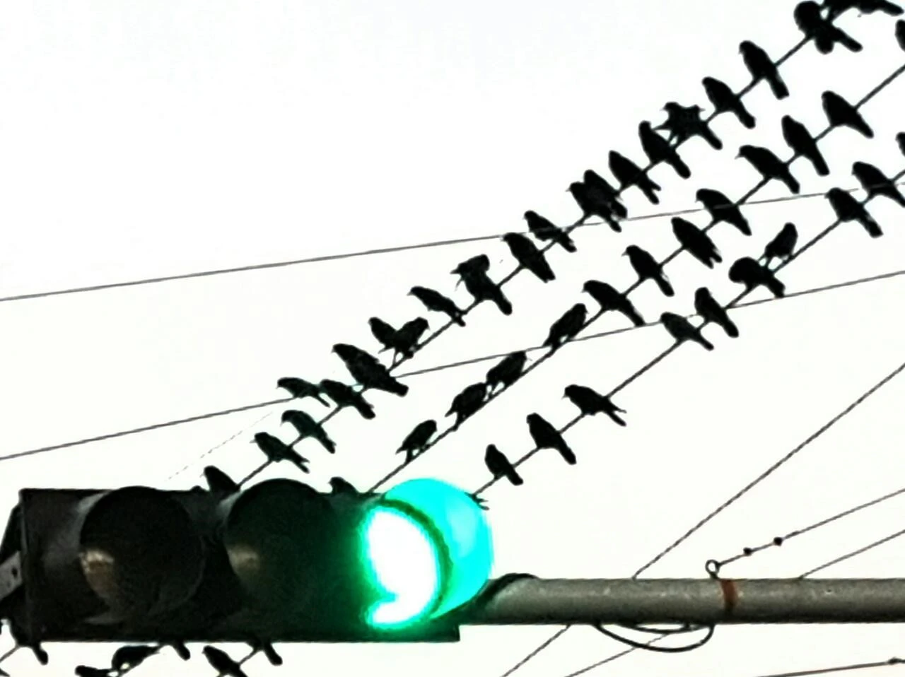 c52Ud0151fkrdhzygmh8h_ajj5ls.jpg?type=e1920_std