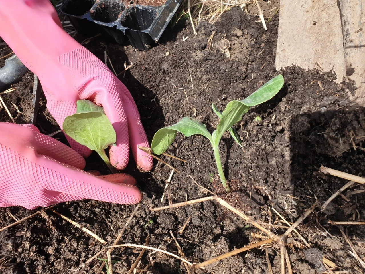 j_hj9Ud018svc199r0u34ua1ms_e9765c.jpg?type=e1920_std