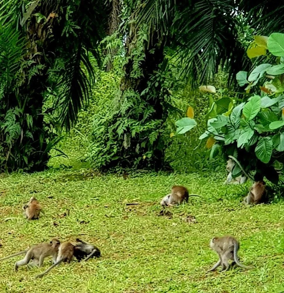 f_36bUd018svce7vqfv88y1r_m3thc1.jpg?type=e1920_std