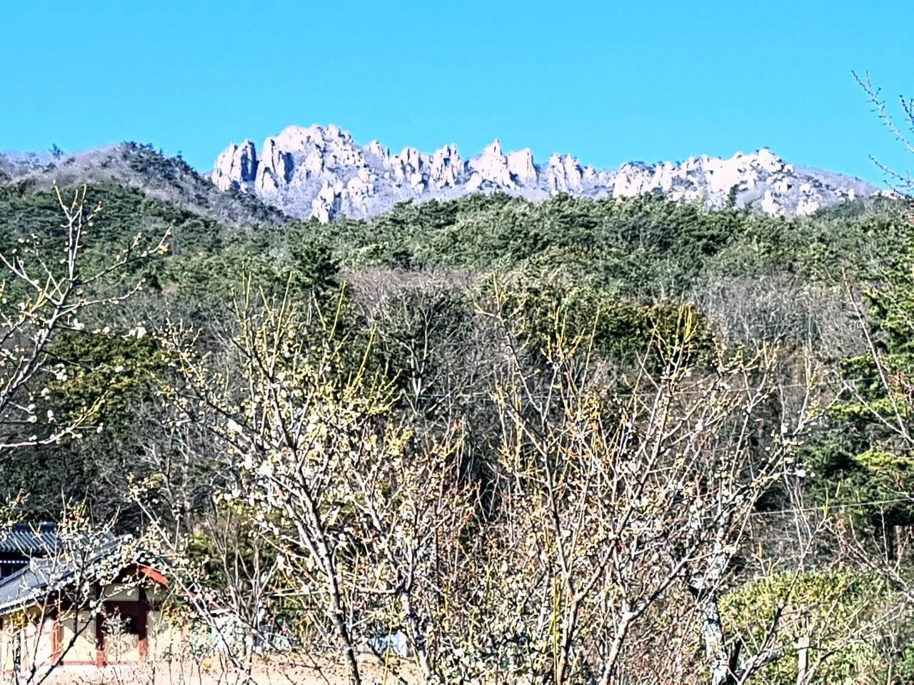 c62Ud016svc1bcklqtgesm0r_xjovg4.jpg?type=e1920_std