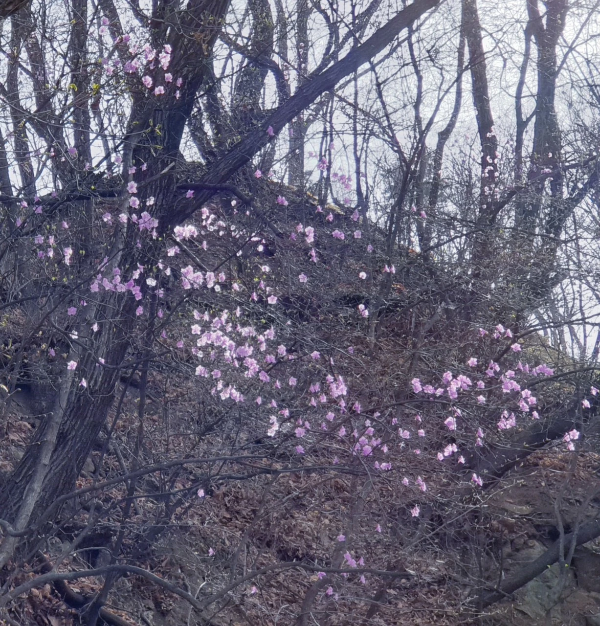 4_baeUd018svcwr7vj2pdiip8_e9765c.jpg?type=e1920_std