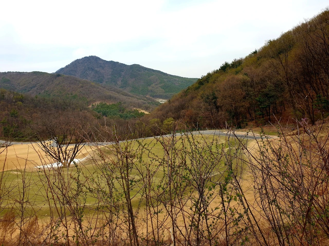 i_dadUd018svc155vpkk0ow8x5_e9765c.jpg?type=e1920_std