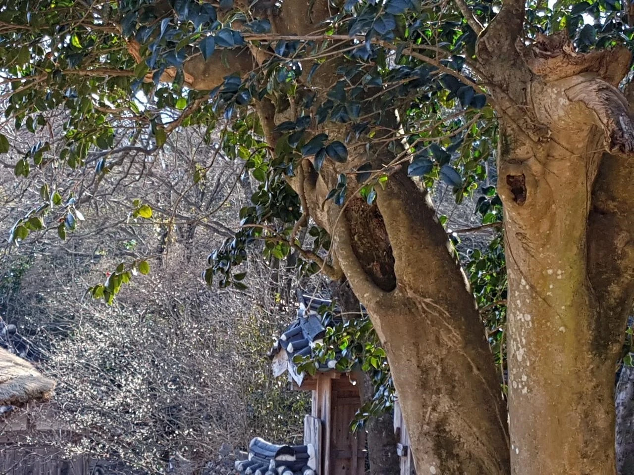 cjjUd016svc18sg1g6fry4em_qyb34z.jpg?type=e1920_std