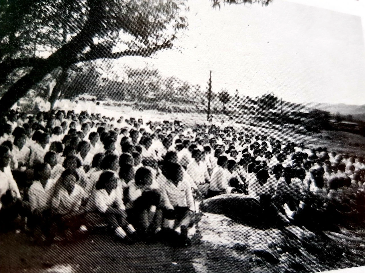 0_0jhUd018svcrf47733uuuuj_bnmutt.jpg?type=e1920_std