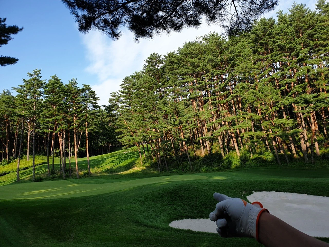 d_edbUd018svc19pjrbmw4qv2w_e9765c.jpg?type=e1920_std