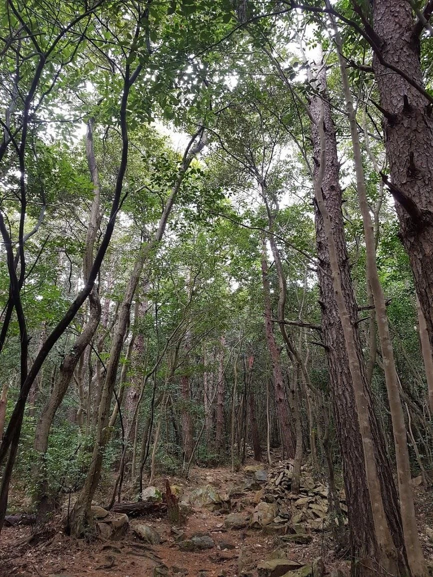 bicUd017svc1s12yzq17k2ki_65wnhb.jpg?type=e1920_std