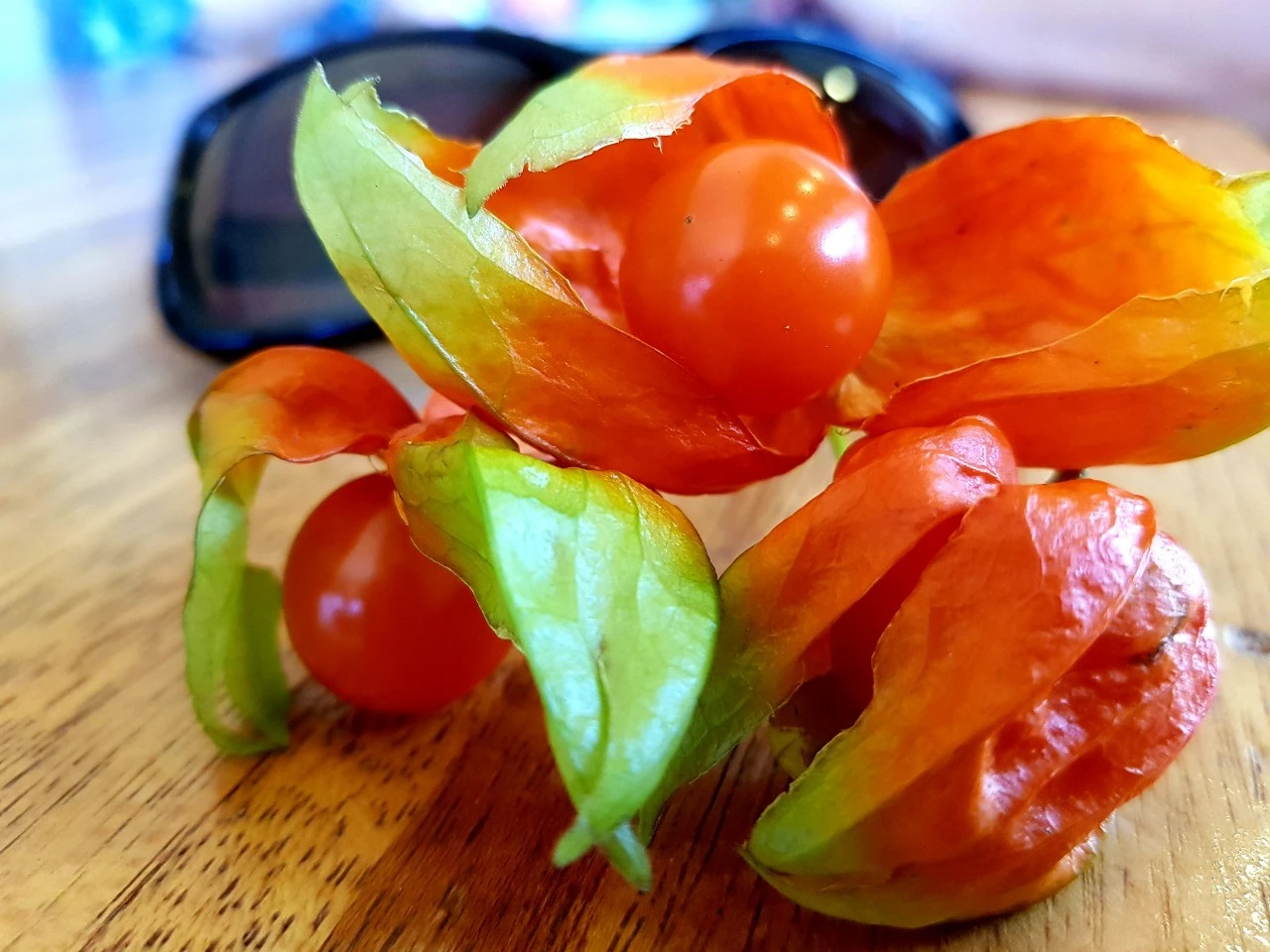 6_fc8Ud018svczkvwzl3t9vl3_bnmutt.jpg?type=e1920_std