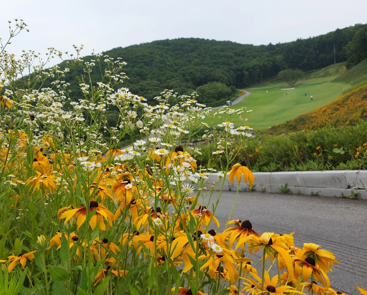 9_6j2Ud018svc1quxsxq0fi6y4_e9765c.jpg?type=e1920_std