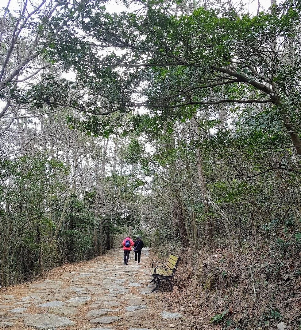 g_ieeUd018svc13j1f4co0o4gc_bifsc9.jpg?type=e1920_std