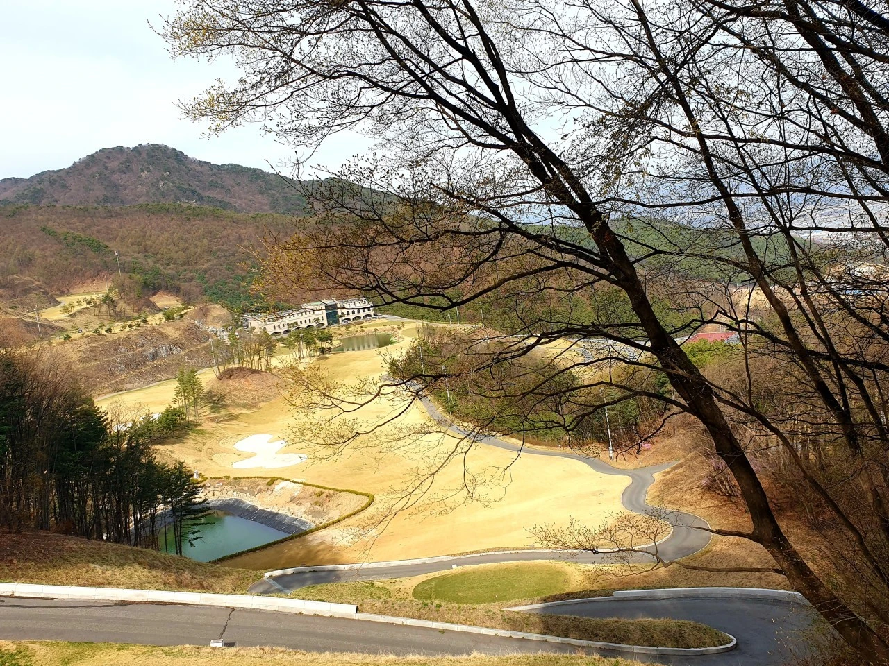 4_5aeUd018svcwxu0kubbw5p1_e9765c.jpg?type=e1920_std