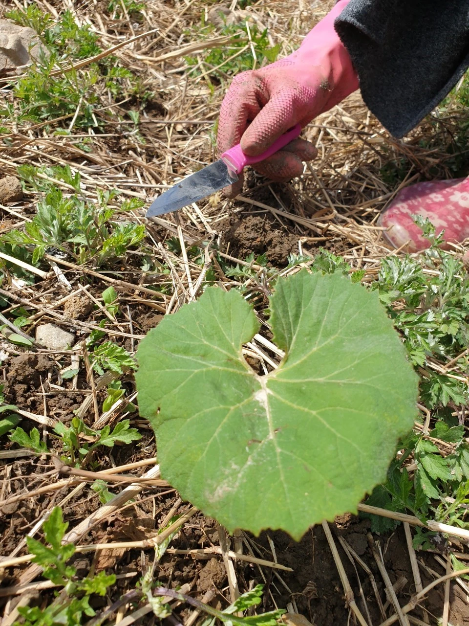 6_5jaUd018svc1y0bkyqyl9he_e9765c.jpg?type=e1920_std