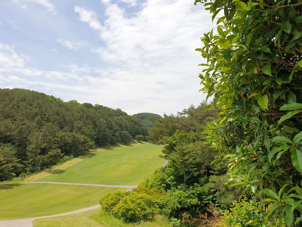 3_if6Ud018svckmszvcf31u97_e9765c.jpg?type=e1920_std