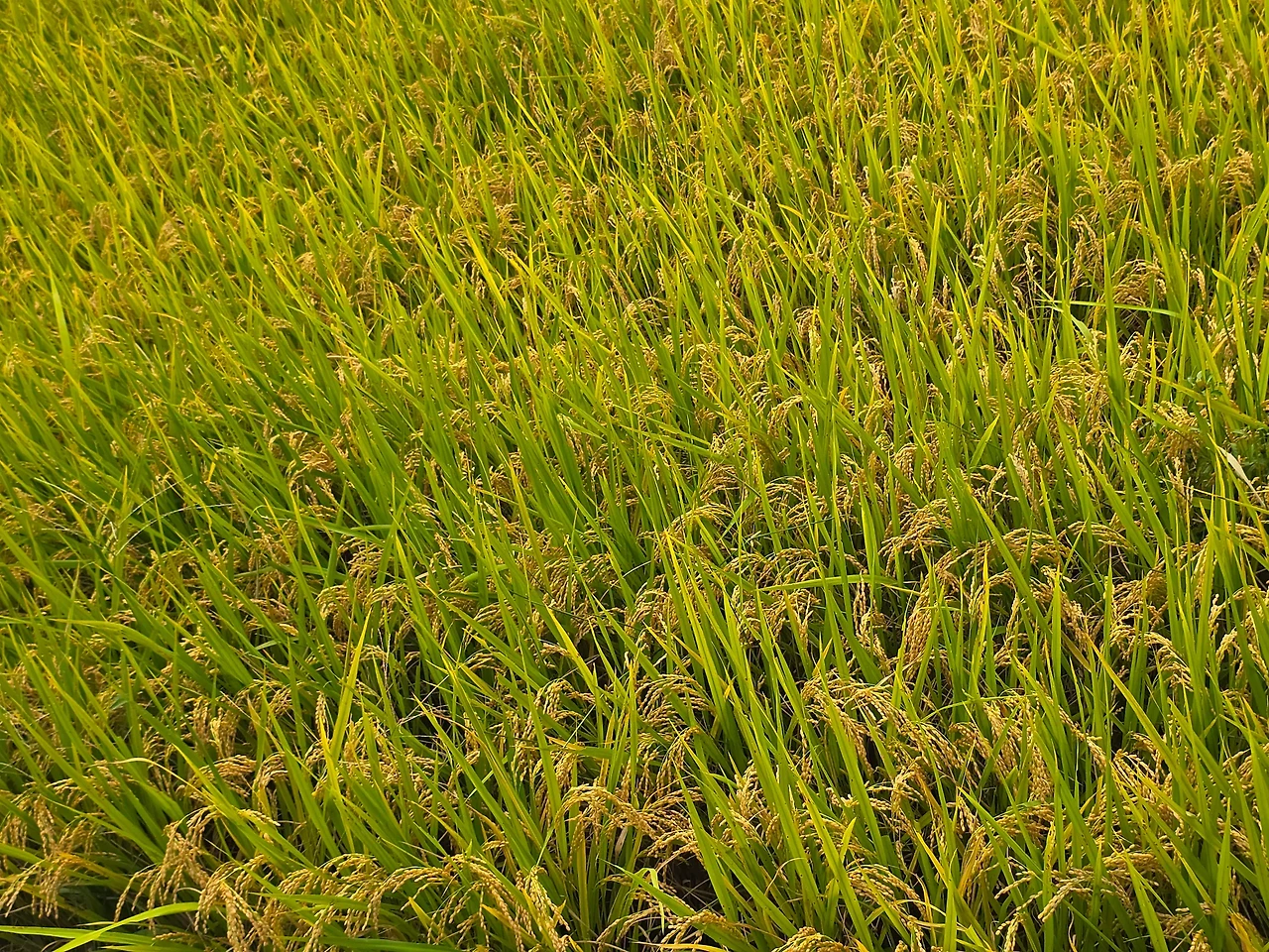 558083362_17928385488112213_4133910136104501521_n.webp?efg=eyJ2ZW5jb2RlX3RhZyI6InRocmVhZHMuRkVFRC5pbWFnZV91cmxnZW4uMjAwMHgxNTAwLnNkci5mODI3ODcuZGVmYXVsdF9pbWFnZS5jMiJ9&_nc_ht=scontent-icn2-1.cdninstagram.com&_nc_cat=101&_nc_oc=Q6cZ2QHR-Adh_oKm-GCiUU_dBSAYQ2RtSR111PXLsM81CzwM82m926rMn3SpiiuJ--F7gFQ&_nc_ohc=fUz3XH7hXMsQ7kNvwE8fp_u&_nc_gid=ywHpYrLu6sF25_FT-Asscw&edm=AKr904kBAAAA&ccb=7-5&ig_cache_key=MzczNDA4NzU0NTI5NTk1OTQyOA%3D%3D.3-ccb7-5&oh=00_AfbC7ox6rWqqnKWthnmDec511YIb78NWzu1Ar_QwXCY8cw&oe=68E449D5&_nc_sid=23467f