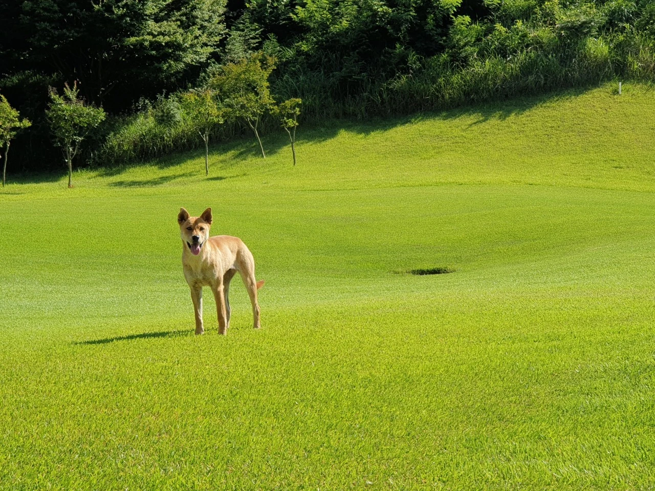 5_67eUd018svc70imfakkrefz_e9765c.jpg?type=e1920_std