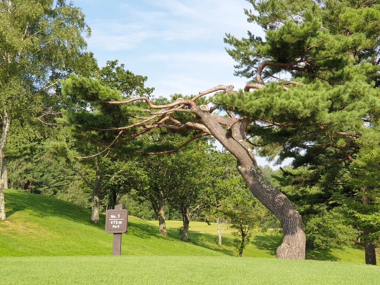 7_2gcUd018svcrazmrvnbb73i_e9765c.jpg?type=e1920_std