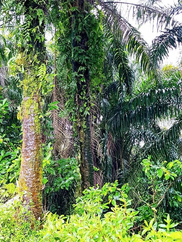 e_c57Ud018svc4nzzl1g5g9yb_v9wc4r.jpg?type=e1920_std