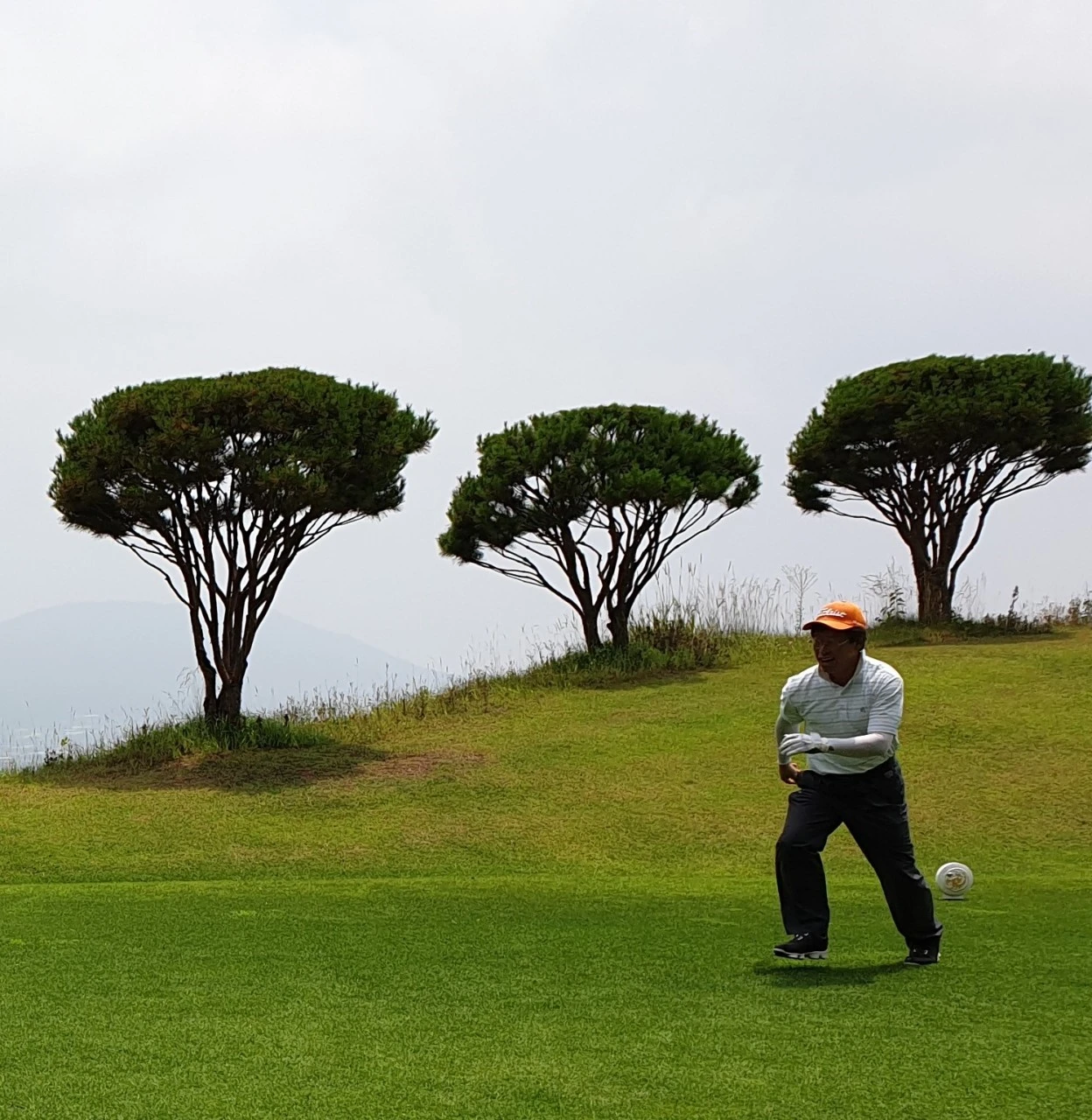 7_0j2Ud018svc1llaafqebfgf7_e9765c.jpg?type=e1920_std