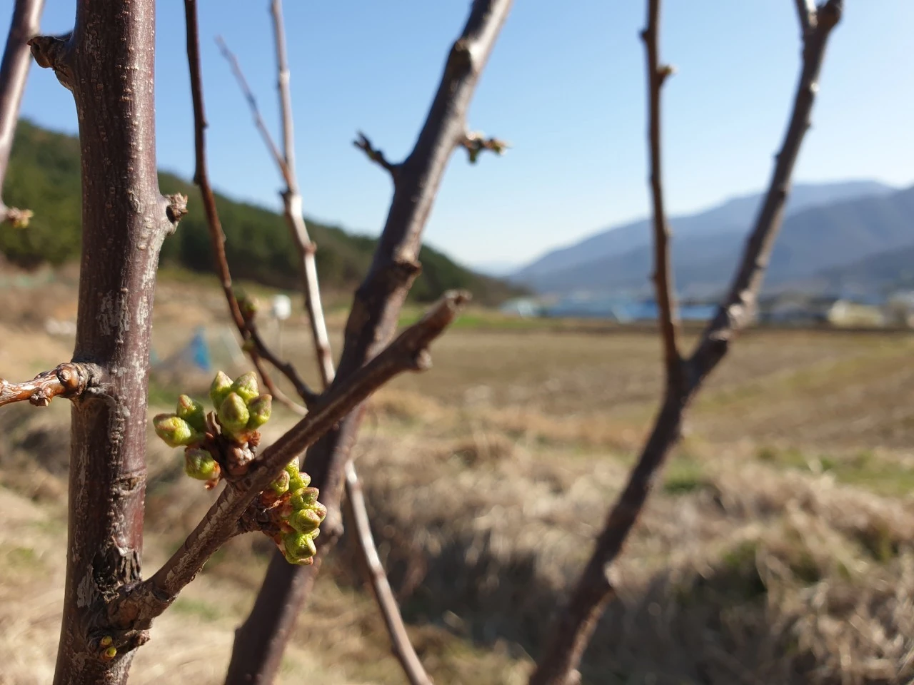 e_i16Ud018svc2vaxj4iirxxo_e9765c.jpg?type=e1920_std