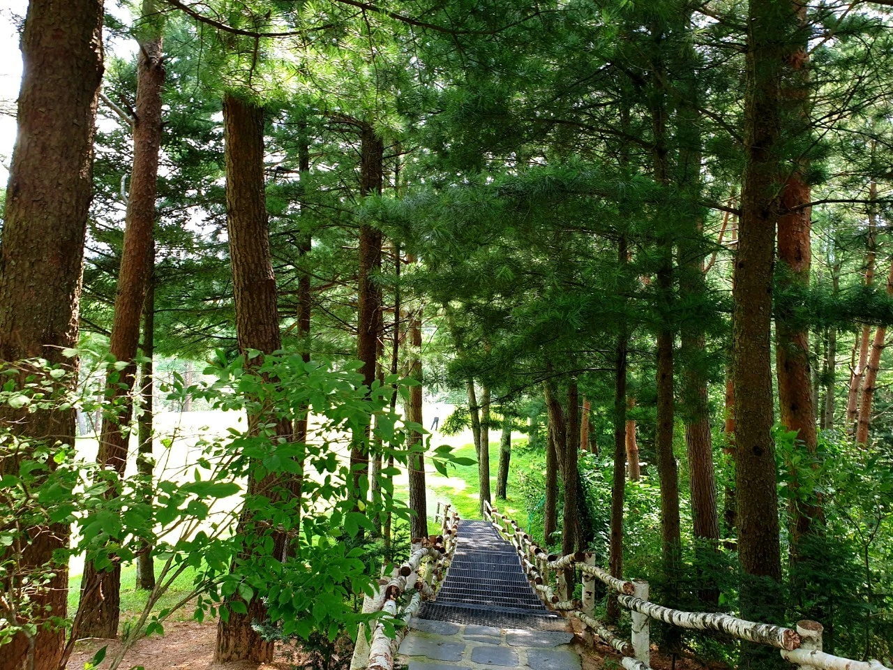 8_1gcUd018svc1od7uhh0qyl2t_e9765c.jpg?type=e1920_std