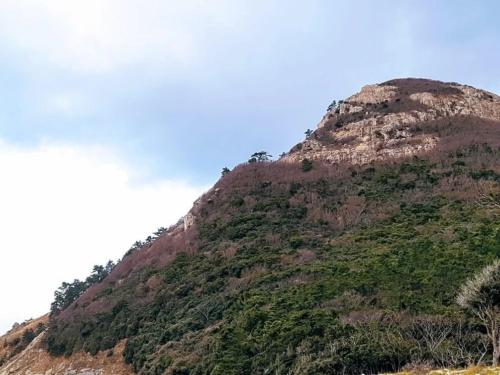 0_hhdUd018svc1wd4hri4xbdpy_xdq6mp.jpg?type=e1920_std