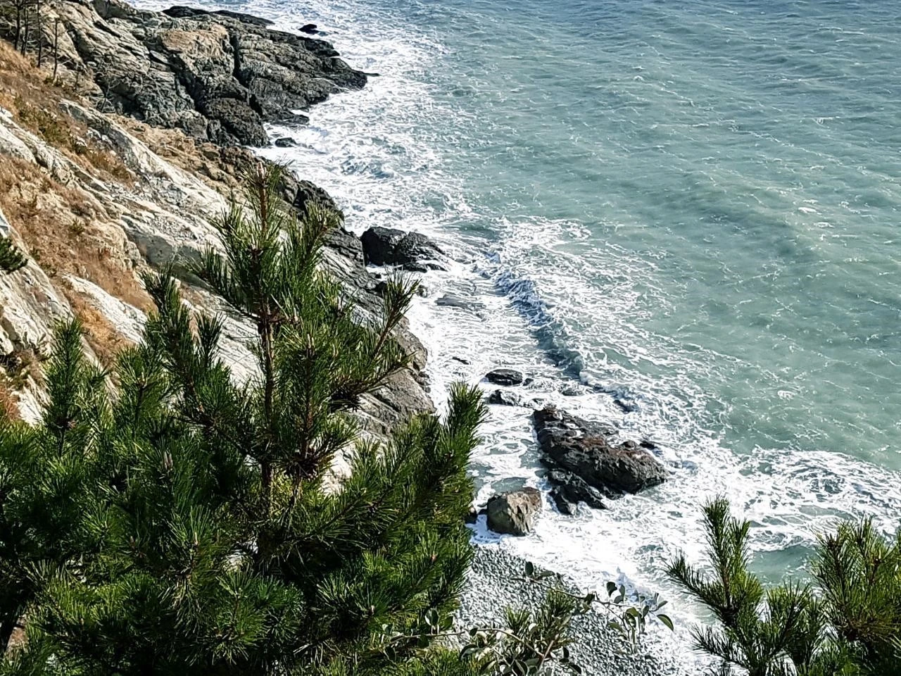 6_1jjUd018svcvbaivynieip1_oqhr1e.jpg?type=e1920_std