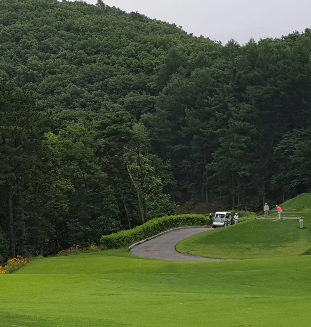 9_ej2Ud018svc1mu6414uc2txo_e9765c.jpg?type=e1920_std